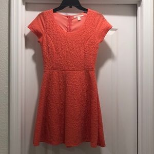 Francesca’s Tangerine Skater Dress